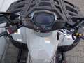 TGB Blade 1000 LT FL EPS MAX ABS Touring T3b 10 JAHRE EDITION ATV Gris - thumbnail 4