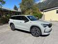 Skoda Kodiaq Kodiaq 1,5 TSI mHEV ACT Sportline DSG Sportline Grau - thumbnail 1