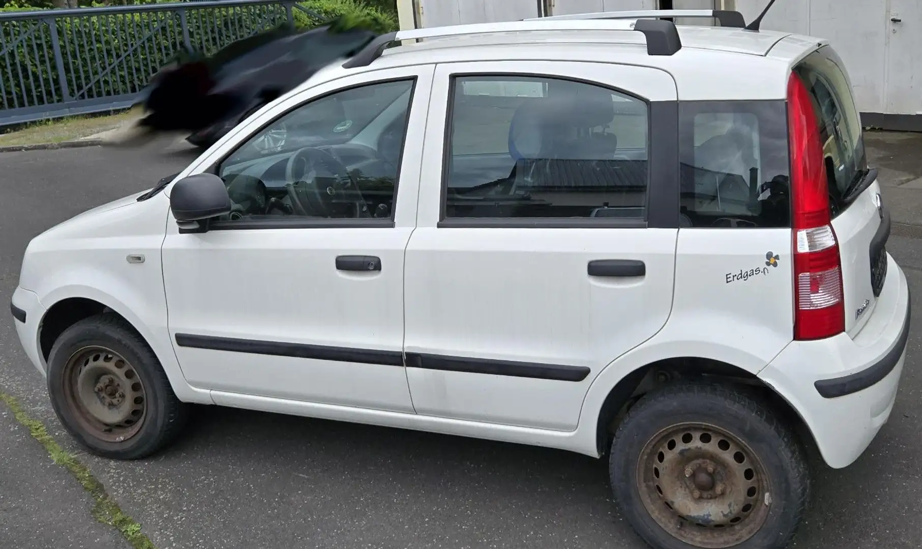 Fiat Panda 1.4 8V Natural Power, Motorproblem Weiß - 2