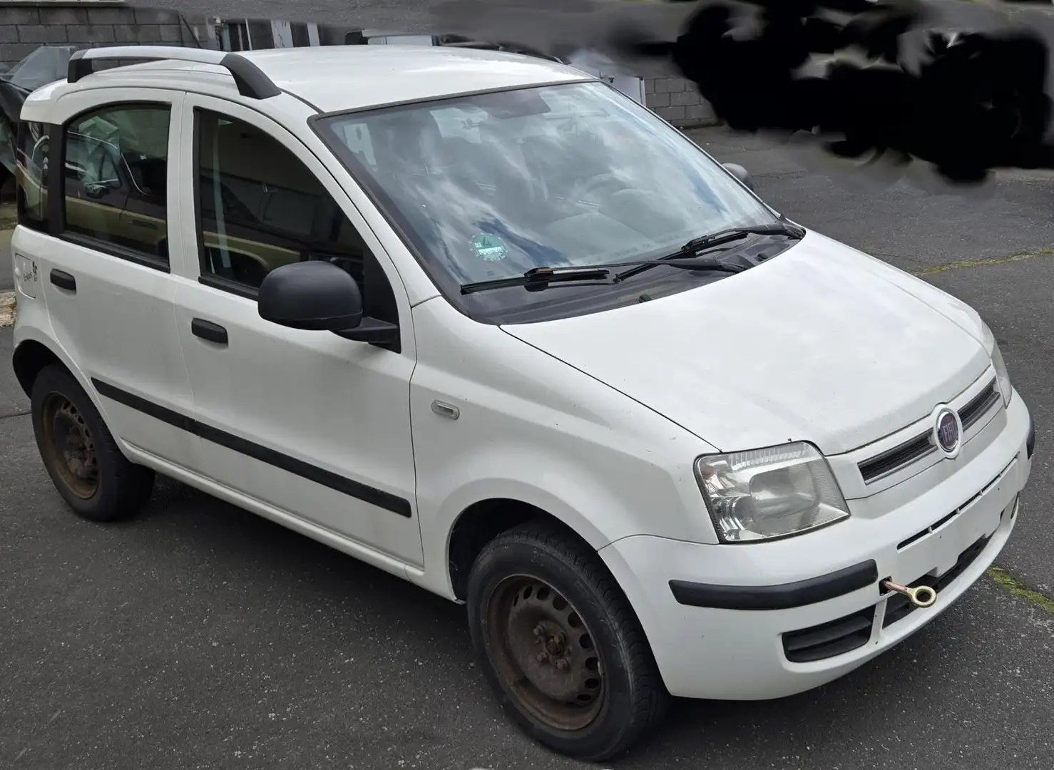 Fiat Panda 1.4 8V Natural Power, Motorproblem Weiß - 1
