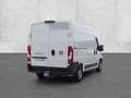 Fiat Ducato L2H2 140 Multijet Kawa verblecht AHK Apple Blanc - thumbnail 2