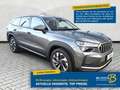 Skoda Kodiaq 2.0 TDI DSG Selection 7-Si. ACC Matrix Szary - thumbnail 1