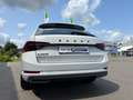 Skoda Superb Combi Sportline 2.0TSi DSG LED NAV KAMERA Weiß - thumbnail 7
