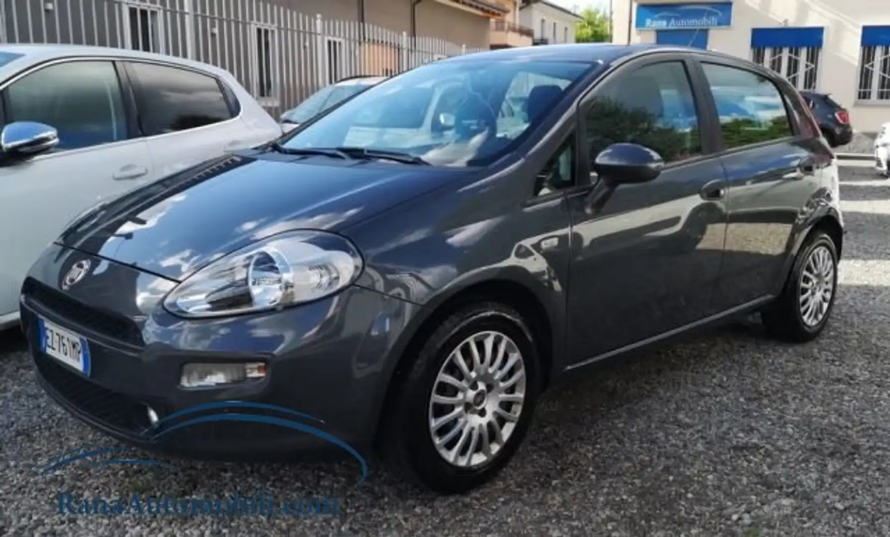 Fiat Punto 5p. 1.2 Street EURO6 Grigio - 2
