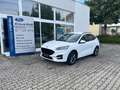 Ford Kuga ST-Line X Weiß - thumbnail 1