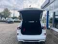 Ford Kuga ST-Line X Weiß - thumbnail 6