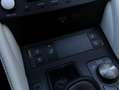 Lexus RC 300h F Sport Premium | Mark Levinson | Stoelventilatie Grau - thumbnail 20