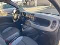 Fiat Panda 0.9 t.air turbo 4x4 85cv E6 Weiß - thumbnail 8