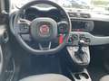 Fiat Panda Cross 1.2 - thumbnail 5
