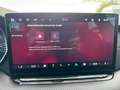 Skoda Octavia Combi 2.0 TSI 195 kW RS Pano AHK LED Matrix Rot - thumbnail 15