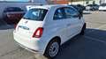 Fiat 500 Hybrid Hatchback DolceVita HB Wit - thumbnail 3