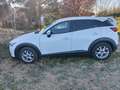 Mazda CX-3 1.5d Evolve 2wd 105cv Bianco - thumbnail 11