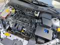 Ford Focus 1.6 BENZINA 100cv / 78.000km / Unuproprietario Argent - thumbnail 15