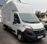 Opel Movano KOFFER L4H1 2.2D Klima Kamera Ladebordwan Blanc - thumbnail 5