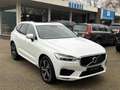 Volvo XC60 2.0 T5 AWD R-Design B&W HeadUp 360 Keyless DAB sta Blanc - thumbnail 1