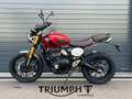 Triumph Scrambler 400 X SCRAMBLER 400 X Rouge - thumbnail 1
