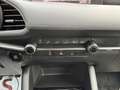 Mazda 3 Mazda3 e-Skyactiv-G140 Prime-Line AUTO STAHL WI... Grau - thumbnail 15