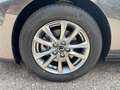 Mazda 3 Mazda3 e-Skyactiv-G140 Prime-Line AUTO STAHL WI... Grau - thumbnail 9