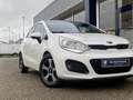Kia Rio 1.2 CVVT Design Edition / NL-Auto / Cruise-Control Wit - thumbnail 9