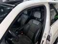 Mercedes-Benz GLK 250 Sport-Paket 4M/Panorama/Xenon/AHK/2HD Weiß - thumbnail 11
