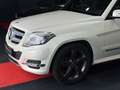 Mercedes-Benz GLK 250 Sport-Paket 4M/Panorama/Xenon/AHK/2HD Weiß - thumbnail 24