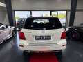 Mercedes-Benz GLK 250 Sport-Paket 4M/Panorama/Xenon/AHK/2HD Weiß - thumbnail 6