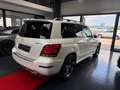 Mercedes-Benz GLK 250 Sport-Paket 4M/Panorama/Xenon/AHK/2HD Weiß - thumbnail 5
