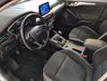 Ford Focus 1.5 Ecoblue Trend+ 120 Plateado - thumbnail 25