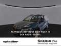 Skoda Karoq Style 1.5TSI DSG/ Navi, Standh, Kessy, DAB Blau - thumbnail 1