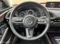 Mazda CX-30 2.0 e-SkyActiv M Hybrid | Leer | BOSE | 360° Camer Rood - thumbnail 19