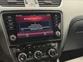 Skoda Octavia Combi RS 2,0 TDI 4x4 DSG Grau - thumbnail 36