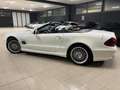 Mercedes-Benz SL 55 AMG 500CV  BIANCO ORIGINALE ! TAGLIANDI TUTTI MERCEDES Weiß - thumbnail 9