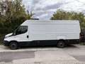 Iveco Daily 35S13V/P 4100 SHD Weiß - thumbnail 12