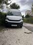 Iveco Daily 35S13V/P 4100 SHD Weiß - thumbnail 8
