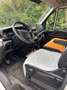 Iveco Daily 35S13V/P 4100 SHD Weiß - thumbnail 14