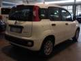 Fiat Panda 1.0 FireFly S&S Hybrid - SENSORI PARK - GAR24 MESI Wit - thumbnail 6