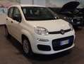 Fiat Panda 1.0 FireFly S&S Hybrid - SENSORI PARK - GAR24 MESI Wit - thumbnail 4