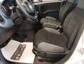 Fiat Panda 1.0 FireFly S&S Hybrid - SENSORI PARK - GAR24 MESI Wit - thumbnail 8