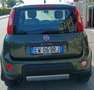 Fiat Panda Cross1.3 mjt 16v Cross 4x4 75cv Tagliandata Grün - thumbnail 4