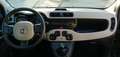 Fiat Panda Cross1.3 mjt 16v Cross 4x4 75cv Tagliandata Grün - thumbnail 15