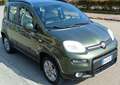 Fiat Panda Cross1.3 mjt 16v Cross 4x4 75cv Tagliandata Grün - thumbnail 7