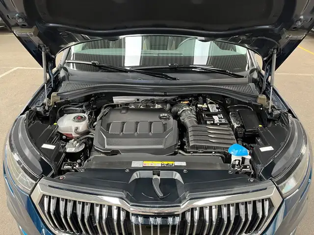 Skoda Kodiaq view 12