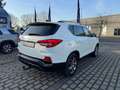 SsangYong Rexton Quartz inkl. Comfortpaket, Allrad, AHK, Automatik. Weiß - thumbnail 10