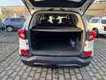 SsangYong Rexton Quartz inkl. Comfortpaket, Allrad, AHK, Automatik. Weiß - thumbnail 13