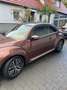 Volkswagen Beetle The Beetle 1.2 TSI Blue Motion Technologie Allstar Braun - thumbnail 5