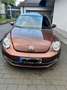 Volkswagen Beetle The Beetle 1.2 TSI Blue Motion Technologie Allstar Braun - thumbnail 6