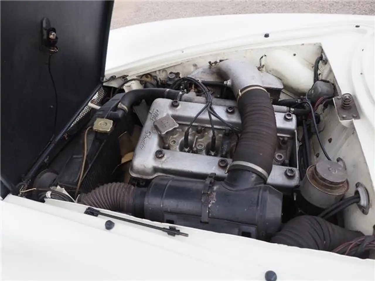 Alfa Romeo Giulia SS 1.6, foto 2