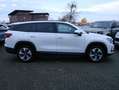 Skoda Kodiaq 2.0 TDI 4x4 Selection AHK MATRIX ACC HUD Blanc - thumbnail 4