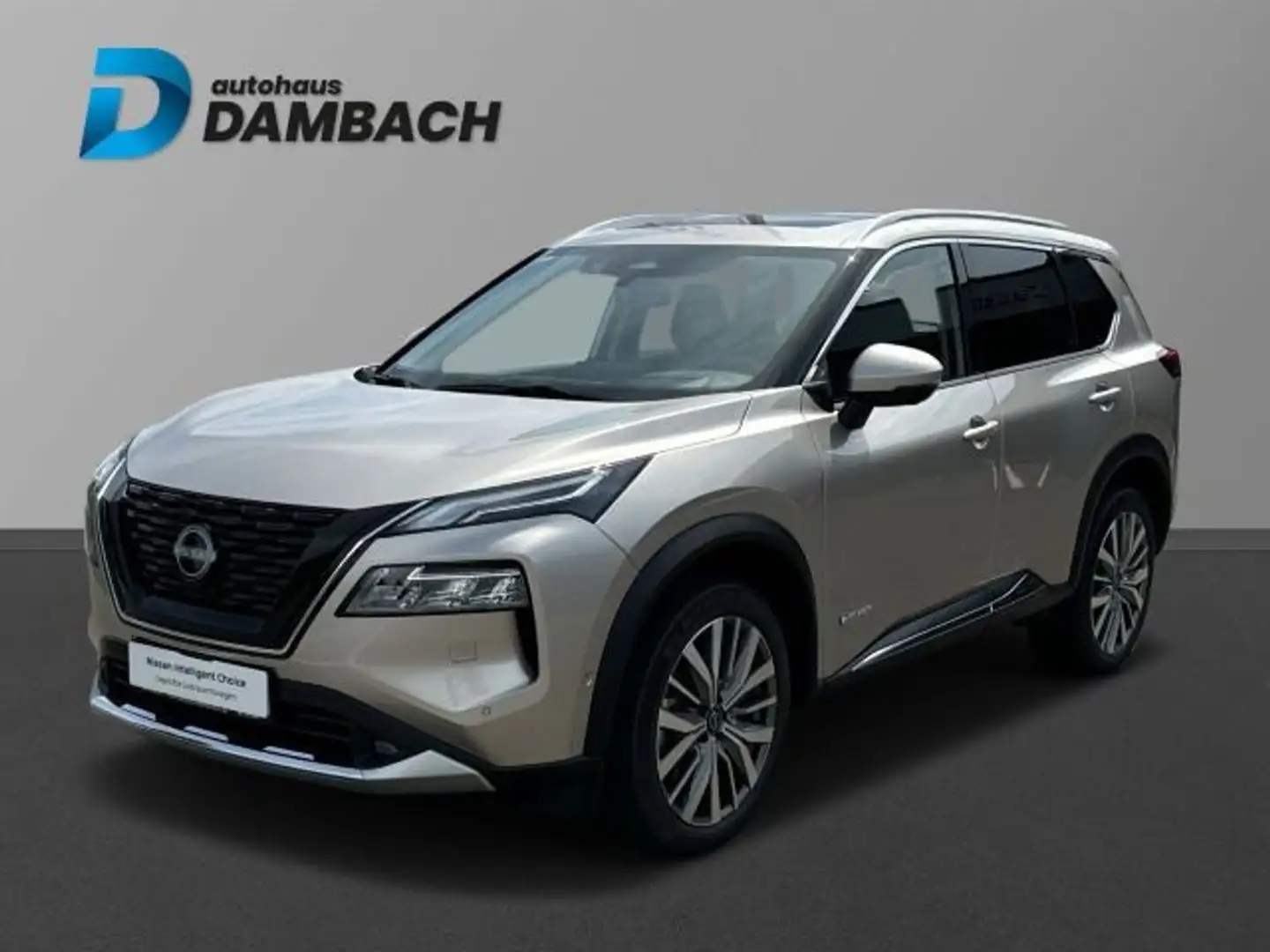 Nissan X-Trail Tekna+ 4x4 Zilver - 1