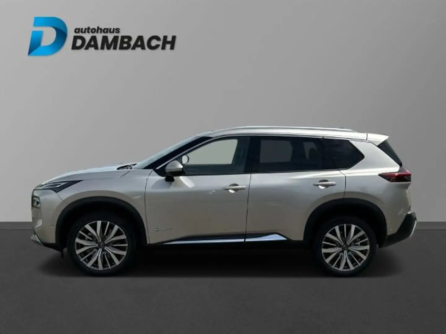 Nissan X-Trail Tekna+ 4x4 Zilver - 2